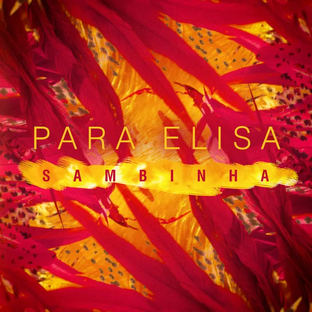 Para Elisa (Sambinha)