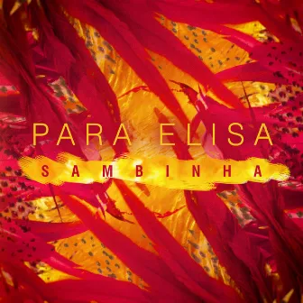 Para Elisa (Sambinha) by Latin Life