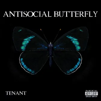 ANTISOCIAL BUTTERFLY by Tenant