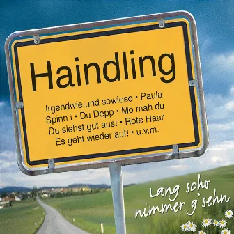 Lang scho nimmer g'sehn by Haindling