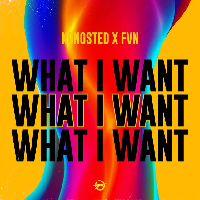 What I Want (Kongsted X FVN)