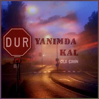 Dur Yanımda Kal by Sıla Şahin