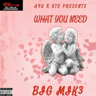 What You Need by Big Mik3