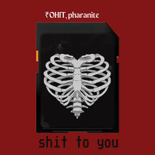 Shit To You