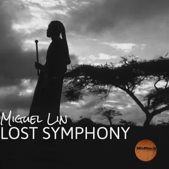 Lost Symphony by Miguel Lin