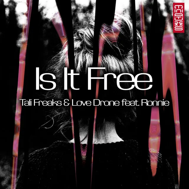 Is It Free - Co-Op Mode Remix