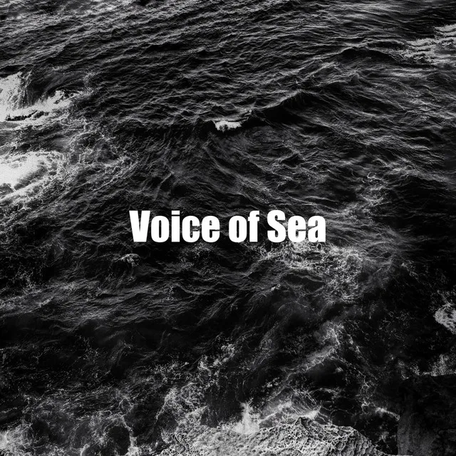 Voice of Sea