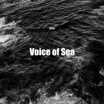 Voice of Sea by Shushing Water of the Sea