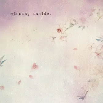 Missing Inside by Counter