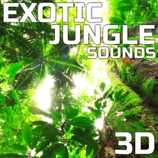 Relaxation Exotic Jungle Sounds 3D