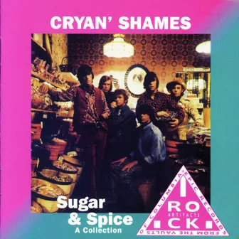 Sugar & Spice (A Collection) by Cryan' Shames