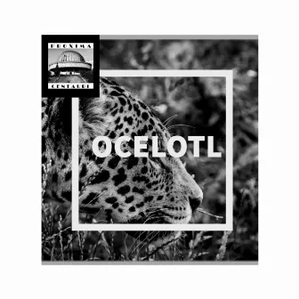 O.C.E.L.O.T.L. by Velasco