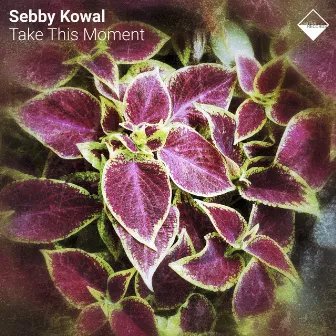 Take This Moment by Sebby Kowal