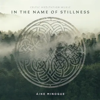 In the Name of Stillness by Aine Minogue