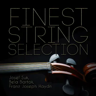 Josef Suk, Bela Bartok, Franz Joseph Haydn: Finest String Selection by Alberini Quartet