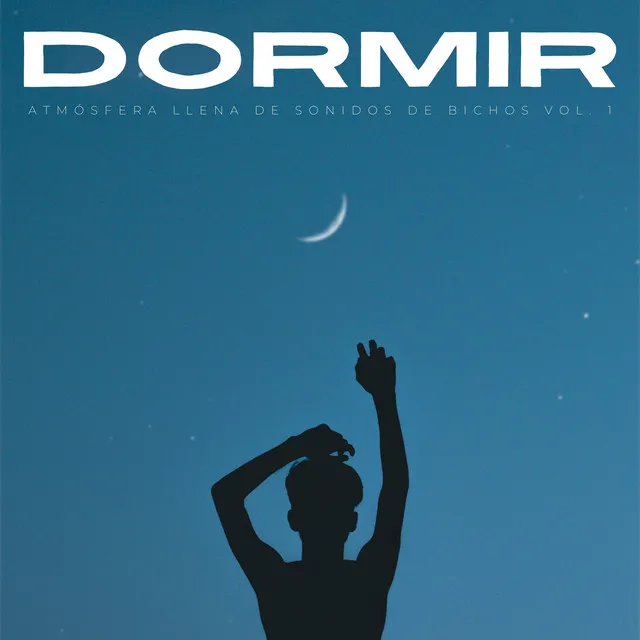 Dormir: Una Atmósfera Llena De Sonidos De Bichos Vol. 1