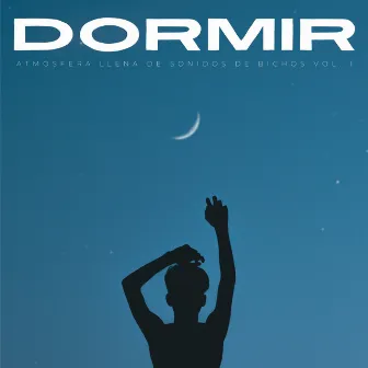 Dormir: Una Atmósfera Llena De Sonidos De Bichos Vol. 1 by 