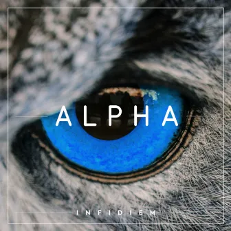 Alpha by Infidiem