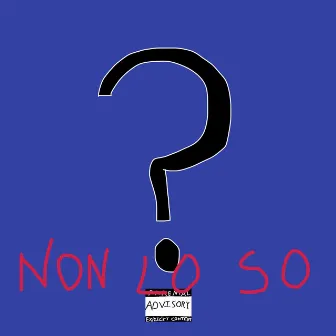 Non Lo So by Amsi