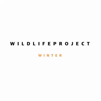 Winter by Wildlife Project