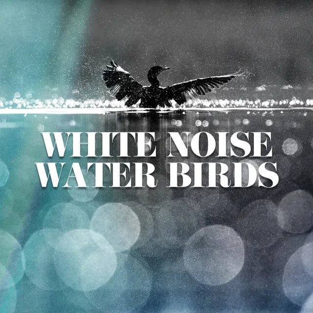 White Noise: Slow Waves