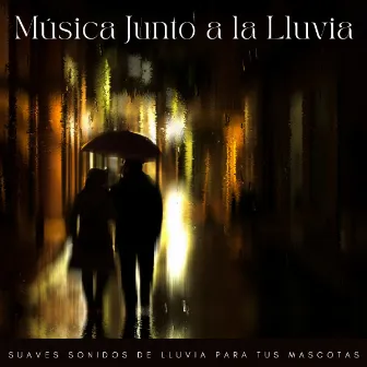 Música Junto A La Lluvia: Suaves Sonidos De Lluvia Para Tus Mascotas by Concentrarse en la tarea