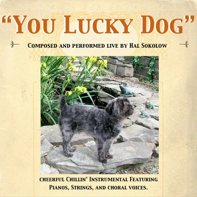 You Lucky Dog (Live)