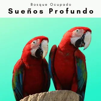 1 0 1 Sueños Profundo by Bosque Ocupado