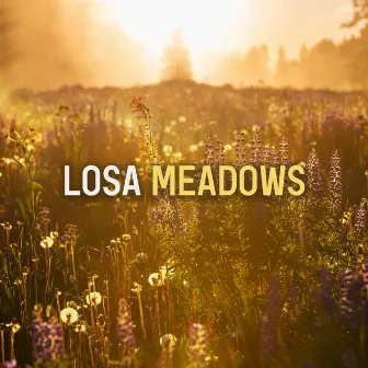 Meadows by Losa