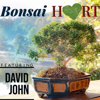 Bonsai Heart by SPIIROW