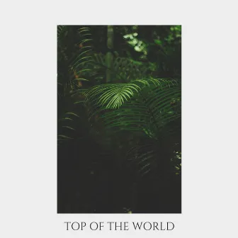 Top of the World by Galazy