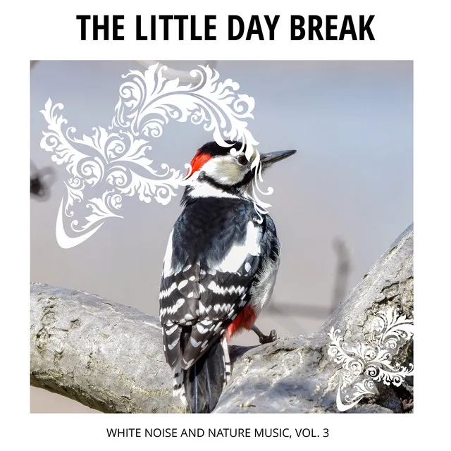 Blissful Stress Relief Birds Songs