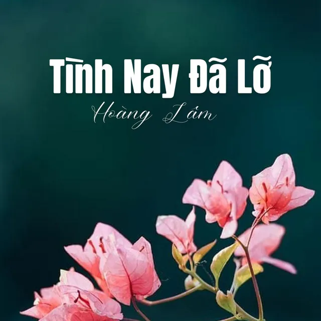 Tình Nay Đã Lỡ