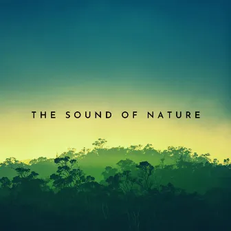 The Sound of Nature by HQ-10