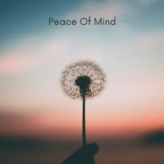 Peace Of Mind by Magic Room