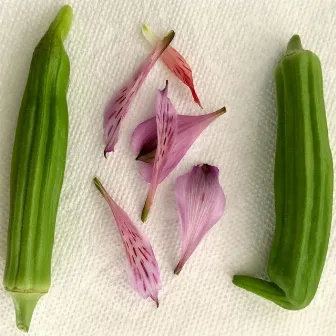 Okra 3 by Thomas Farmer