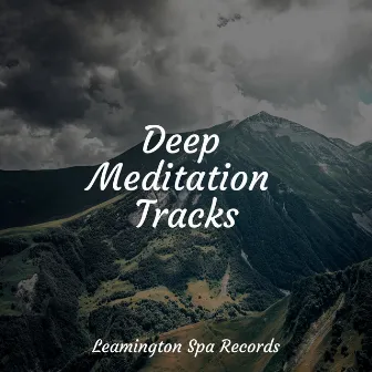 Deep Meditation Tracks by Oceanic Yoga Pros