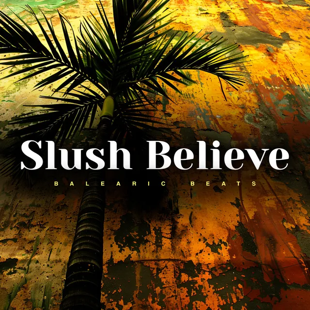 Slush Believe