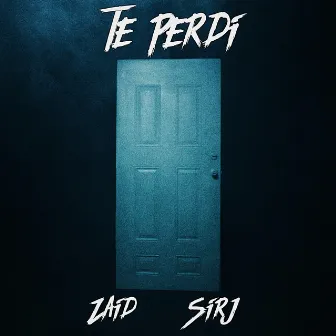 Te Perdi by Zaid