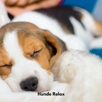 Hunde Relax by Hunde Entspannungsmusik