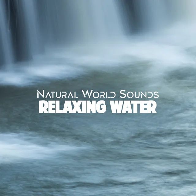 Natural World Sounds