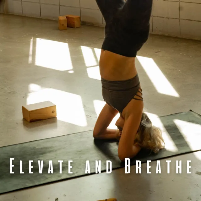 Elevate and Breathe: Ambient Music for Yoga Balance