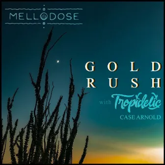 Gold Rush by Case Arnold