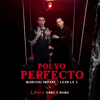 Polvo Perfecto by Marconi Impara