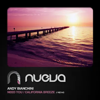 Need You / California Breeze by Andy Bianchini