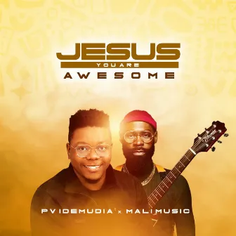 Jesus You Are Awesome by Pv Idemudia