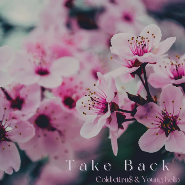 Take Back