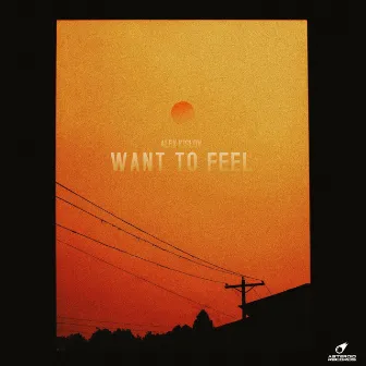 Want To Feel by Alex Kislov