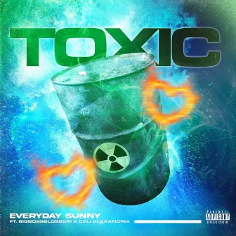 Toxic by Everyday Sunny