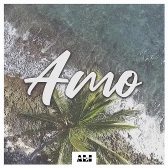 Amo by Nuff Ced 25